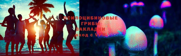 тгк Инта