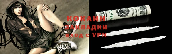 тгк Инта