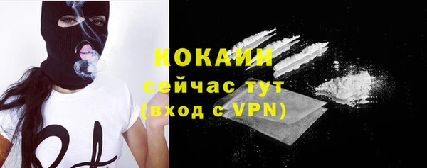 дживик Инсар