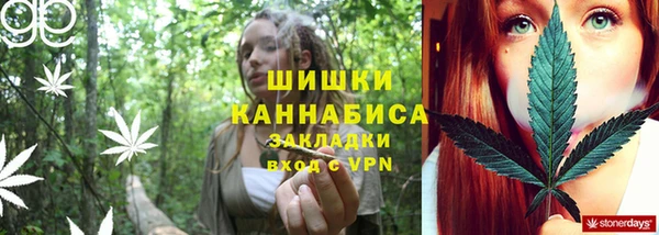 тгк Инта