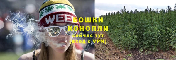 дживик Инсар