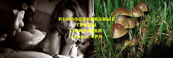 дживик Инсар