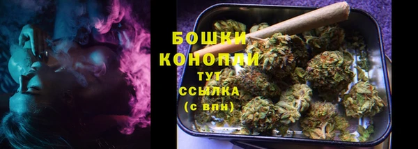 тгк Инта