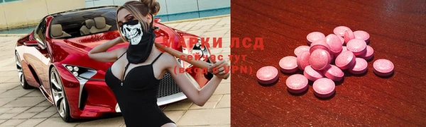 тгк Инта