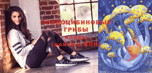 тгк Инта