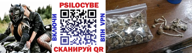 Купить  Белорецк  Галлюциногенные грибы GOLDEN TEACHER 